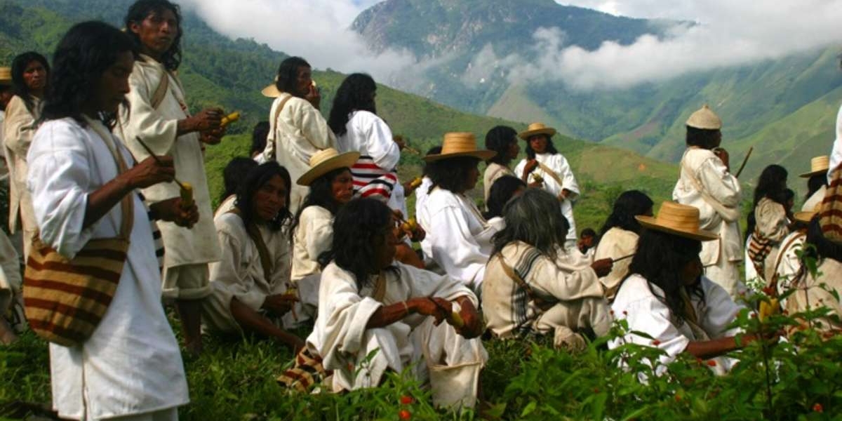 Comunidad indígena de la Sierra Nevada de Santa Marta afectada por incendios forestales espera solidaridad de la comunidad