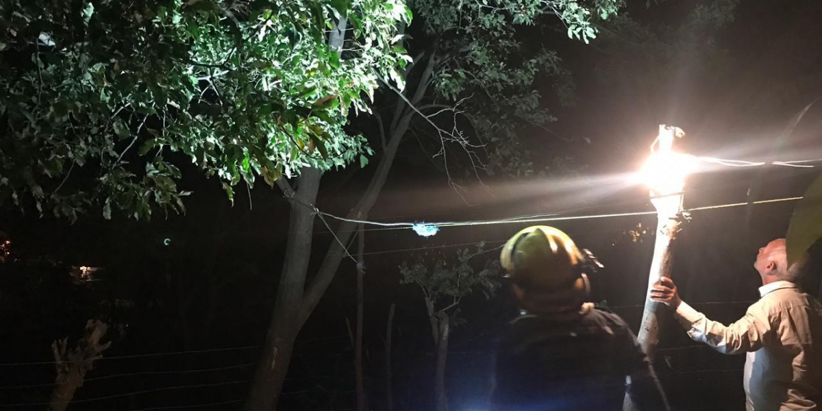 Bomberos rescatan a joven que amenazaba con lanzarse de un árbol