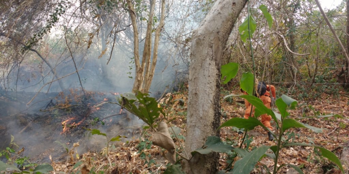 La brisa propagó rápidamente el fuego y las llamas acabaron con la vida de Johana Patricia.