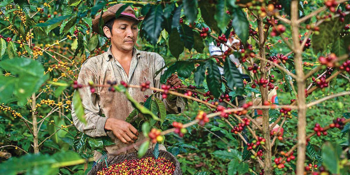 Santa Mata será sede de este concurso nacional