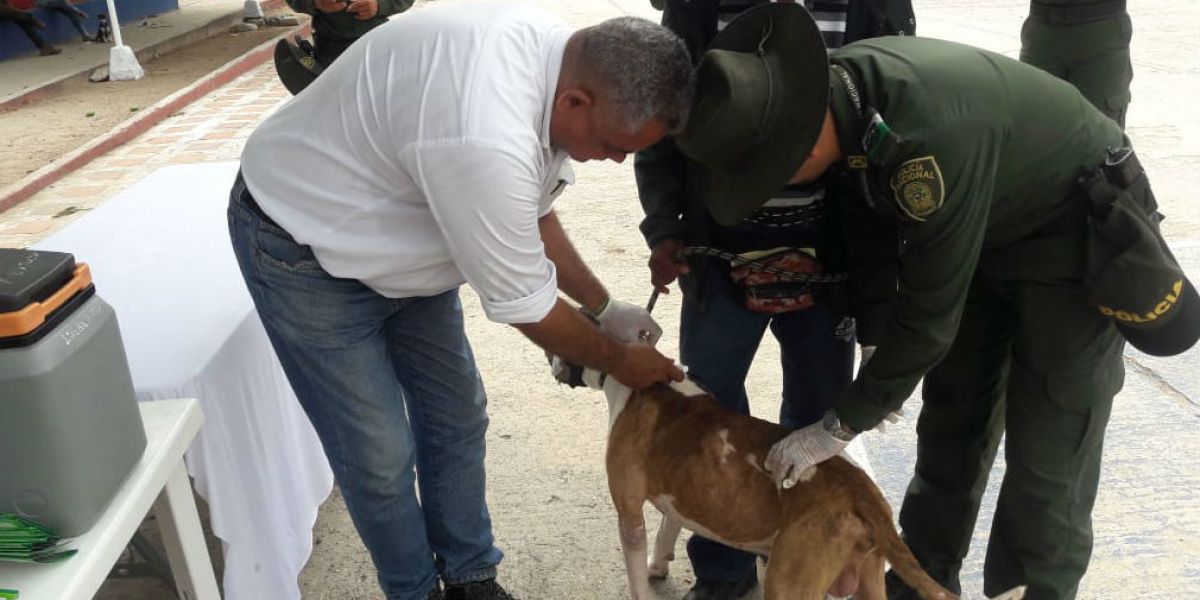 Jornada de vacunación de caninos en Fundación.