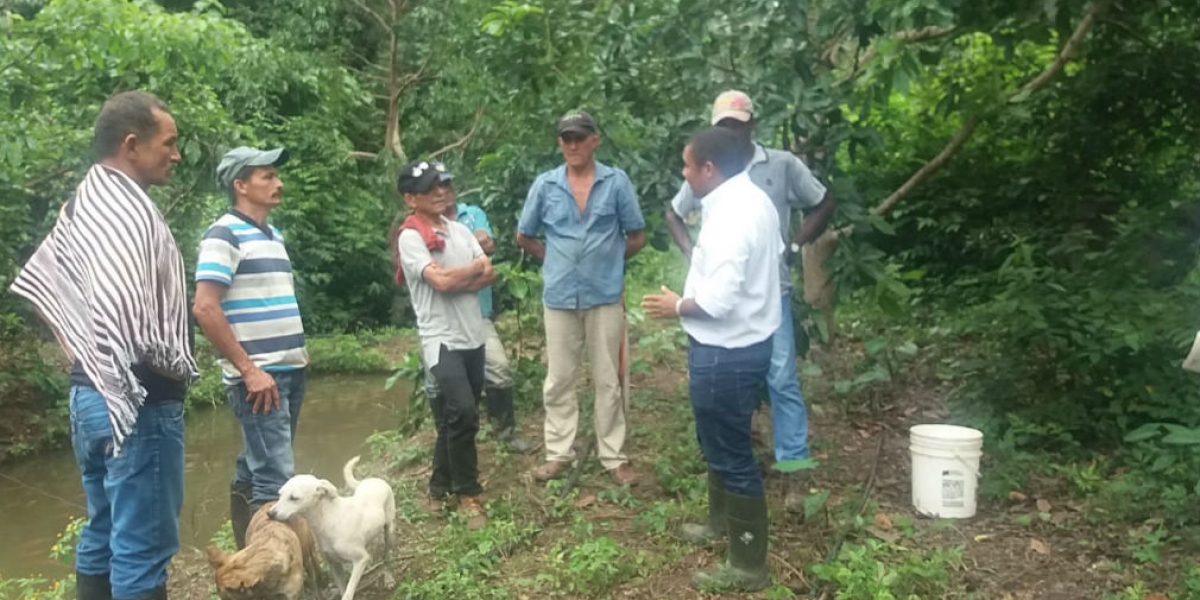 Alcaldía de Santa Marta Campesinos que se unieron al proyecto de la Alcaldía.