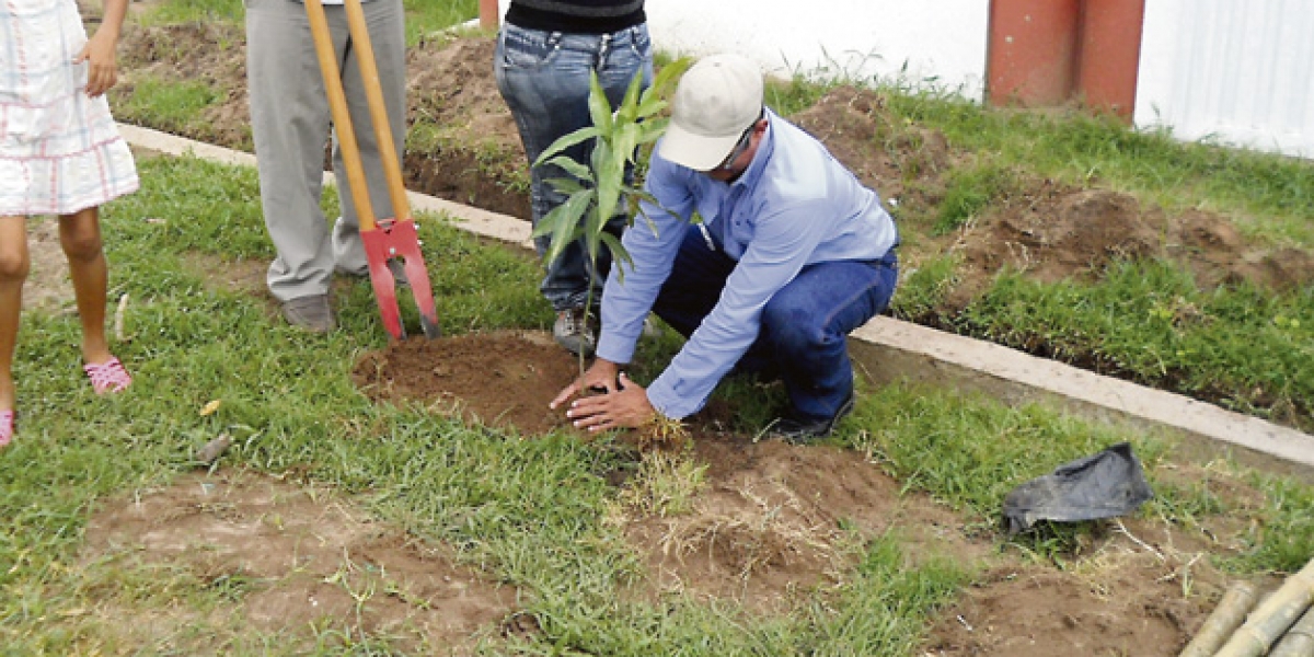 Siembra de arboles en conmemoración al día de la tierra