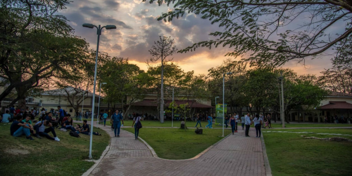 Universidad del Magdalena.