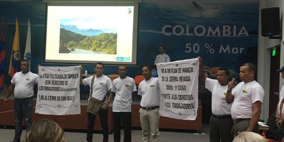 Seguimiento.co Los trabajadores de las bananeras en Don Diego temen por sus empleos.