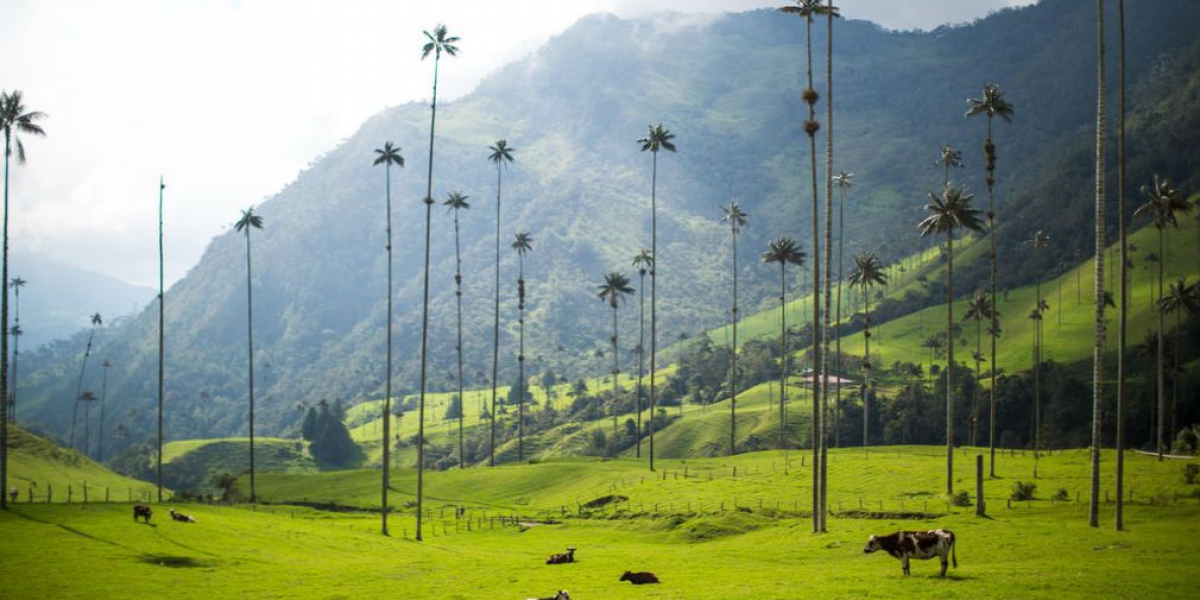 Salento, Quindío.