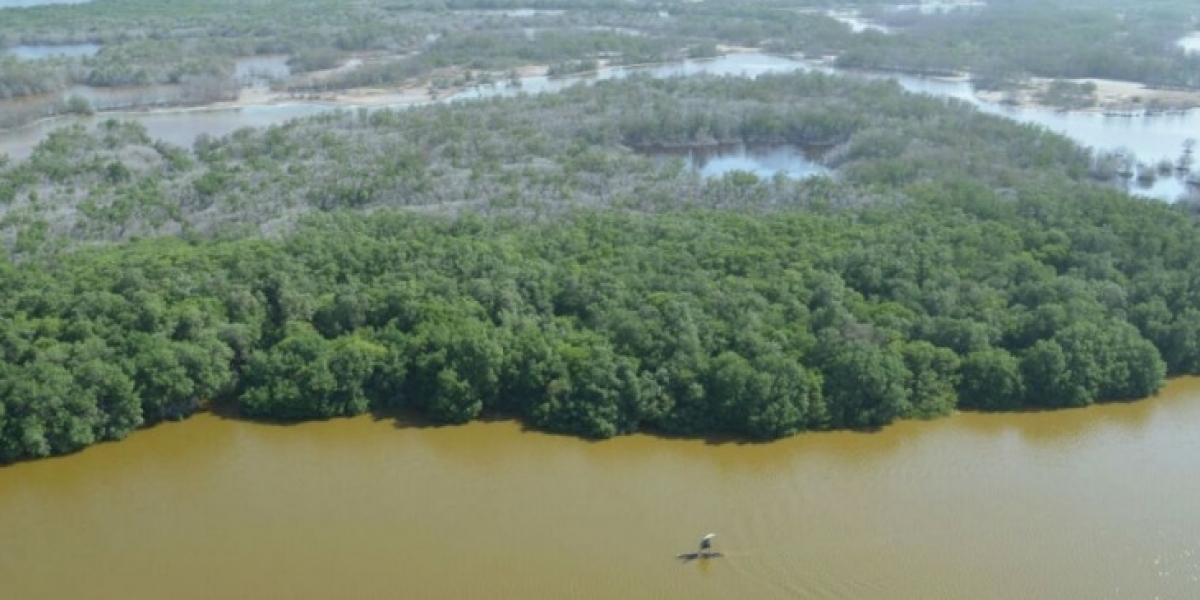 Ciénaga Grande de Santa Marta