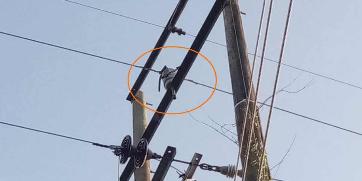 Electricaribe divulgó esta foto en la que se ve una cadena de motocicleta en la red eléctrica.