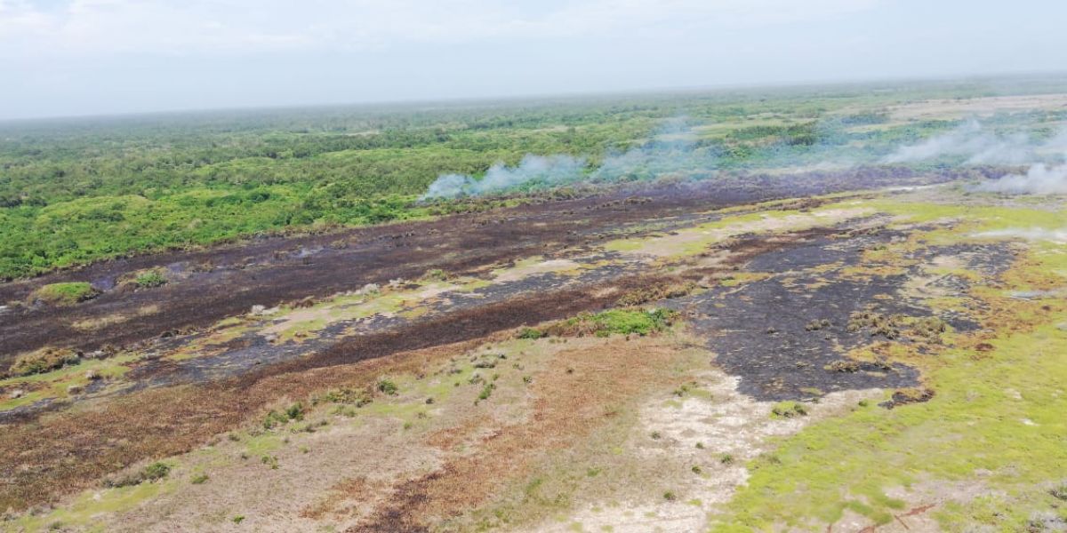 Incendio en el Vía Parque Isla de Salamanca.