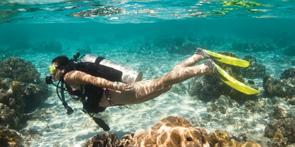 Sumérgete como un pez en las aguas cristalinas de la samaria