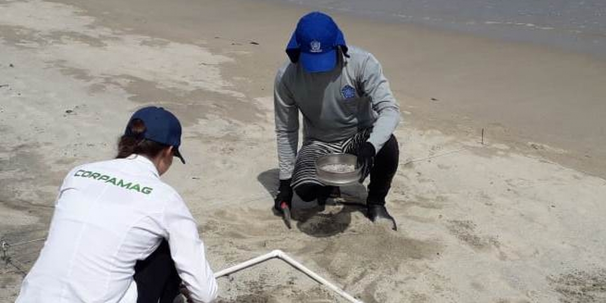 Monitoreo en playas de Santa Marta