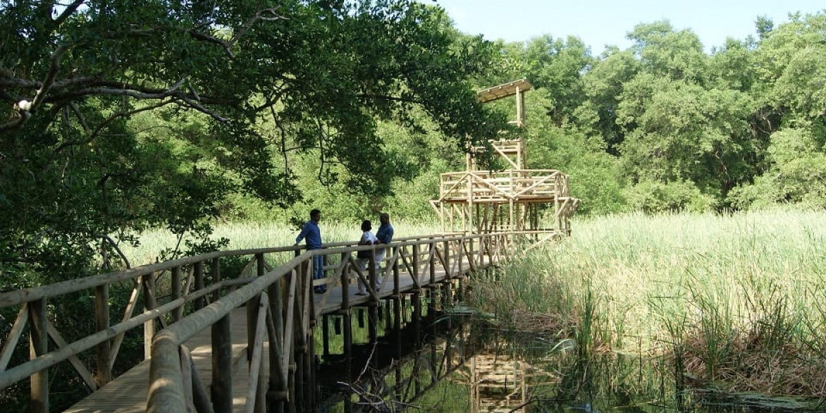 Vía Parque Isla de Salamanca 