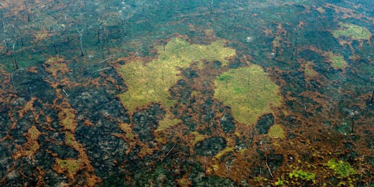 Incendio en el Amazonas