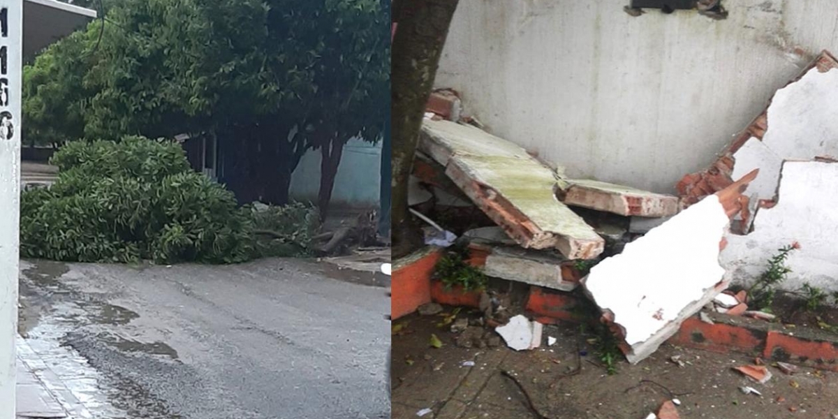 Zona Cero Árboles caídos y daños en la Casa de Cultura.