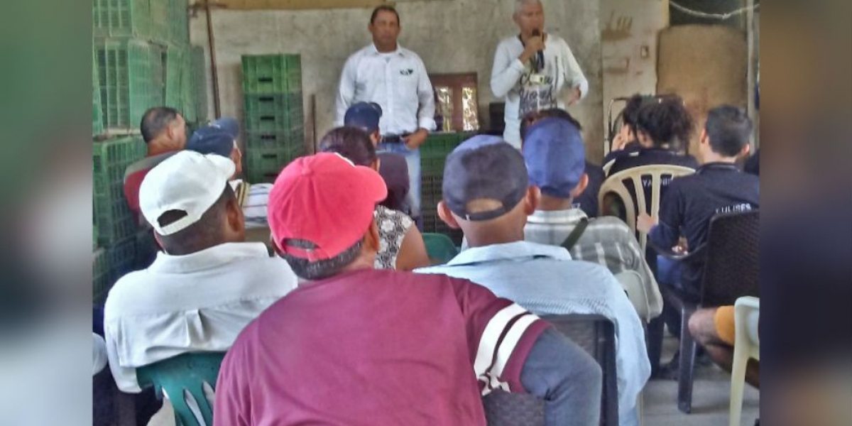 Durante la actividad, también se capacitaron a los agricultores en inspección, vigilancia y manejo de las enfermedades que pueden padecer el cultivo de guayaba.