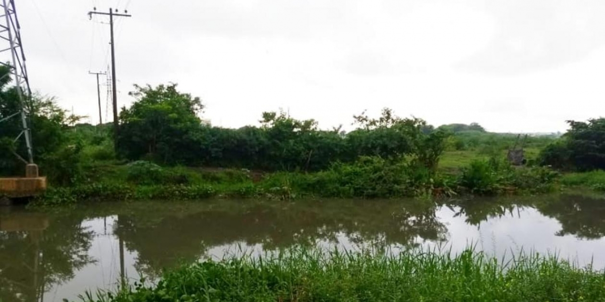 Caño de la Auyama.