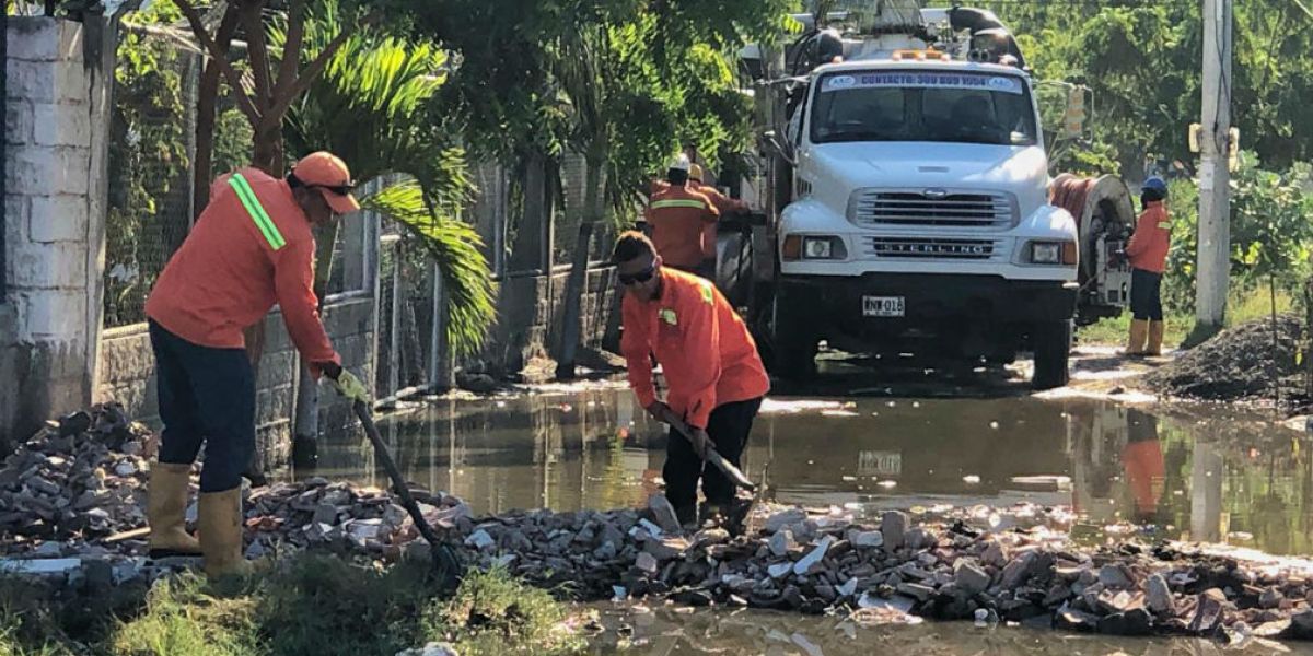 cortesía. Trabajos en zuca