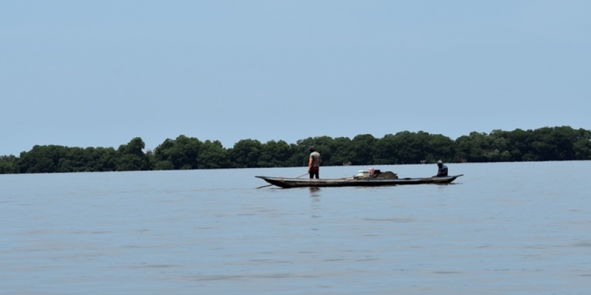 Ciénaga Grande de Santa Marta 