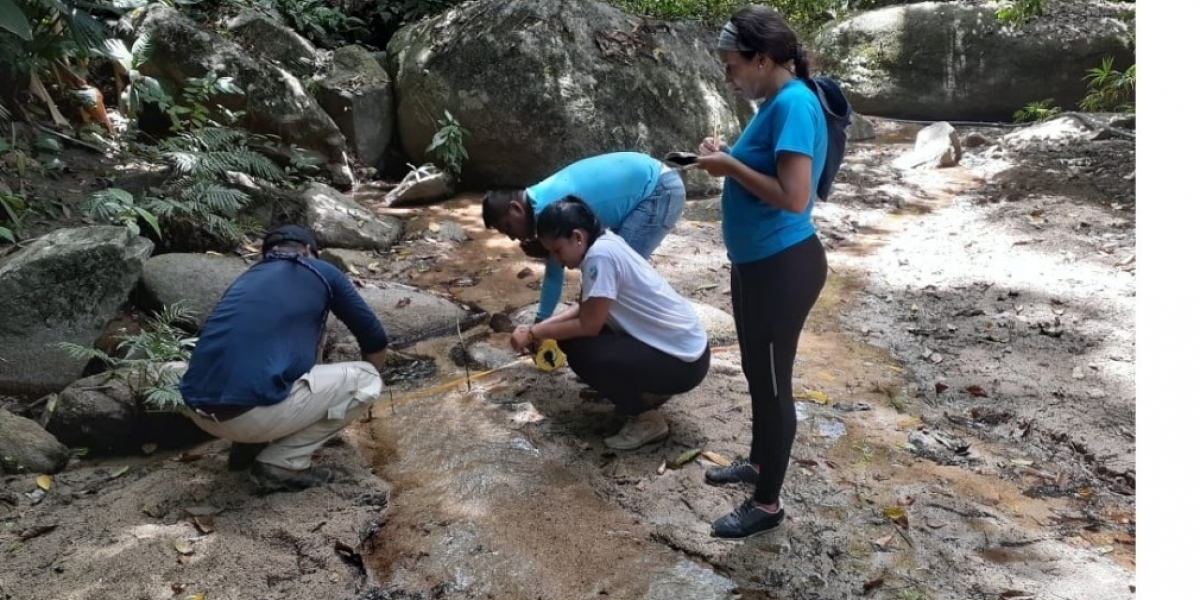 Los guardabosques se encuentran trabajando en el Parque Nacional Natural Tayrona.