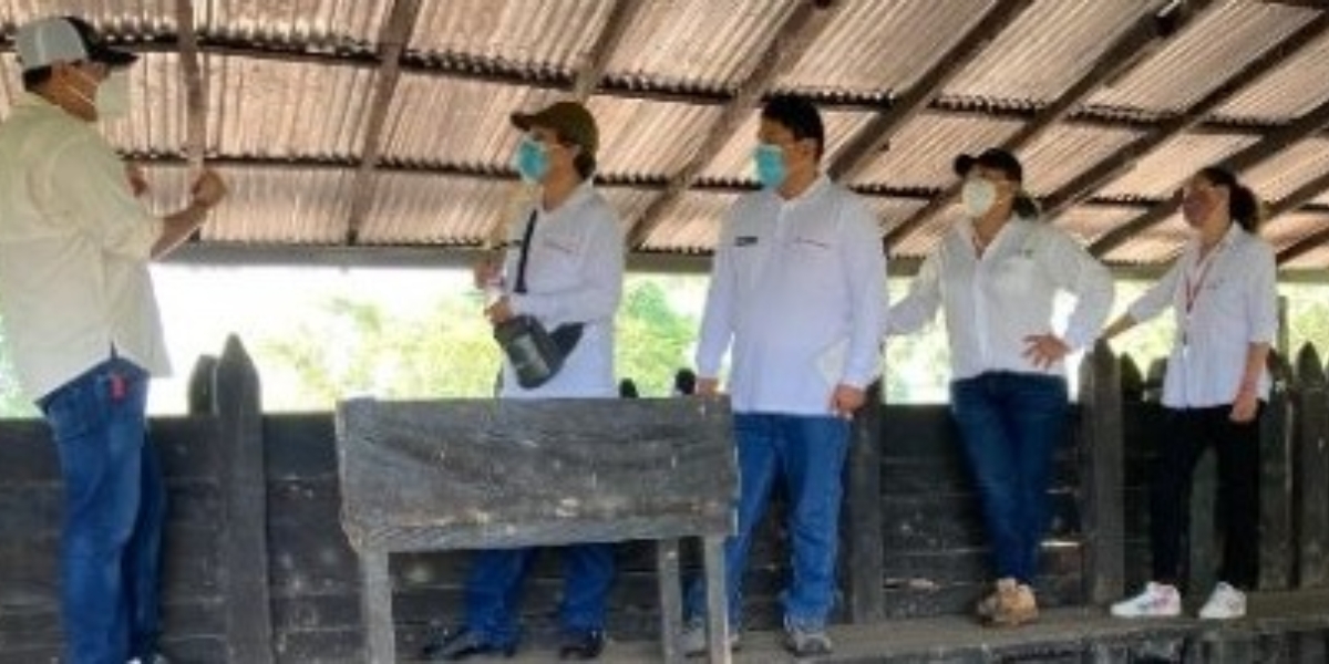 Los funcionarios del Senasa, visitaron, en el departamento de Antioquia, un predio de crianza de porcinos para exportación y una planta de beneficio de porcinos.