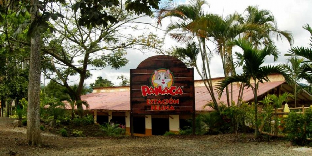 El Tiempo La fiesta de cumpleaños se realizó el domingo en el parque Panaca.