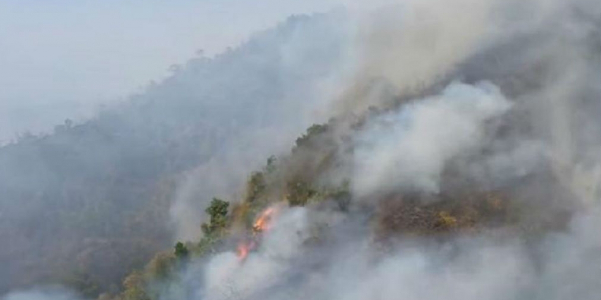 Incendios en Tigrera.