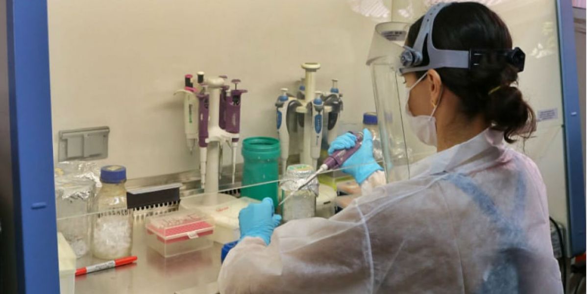 cortesía. La Universidad trabaja en la adecuación del laboratorio de Biología Molecular y gracias cuenta en sus instalaciones de investigación con equipos especializados.