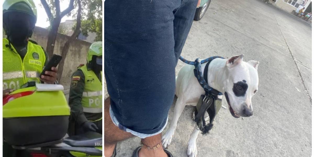 Policías le impusieron multa al joven por sacar a su perro a hacer necesidades a 2 cuadras de su casa.