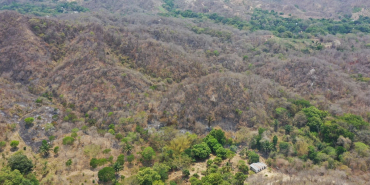 Incendio en Tigrera.