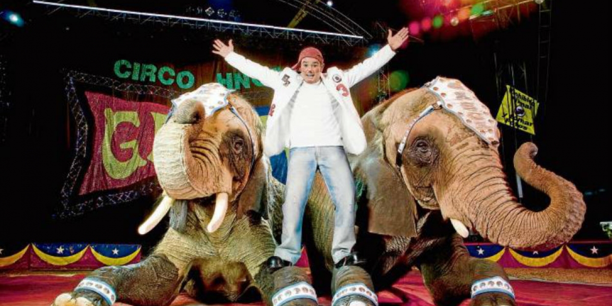 Ningún circo puede usar animales en sus shows según la Ley de Colombia.