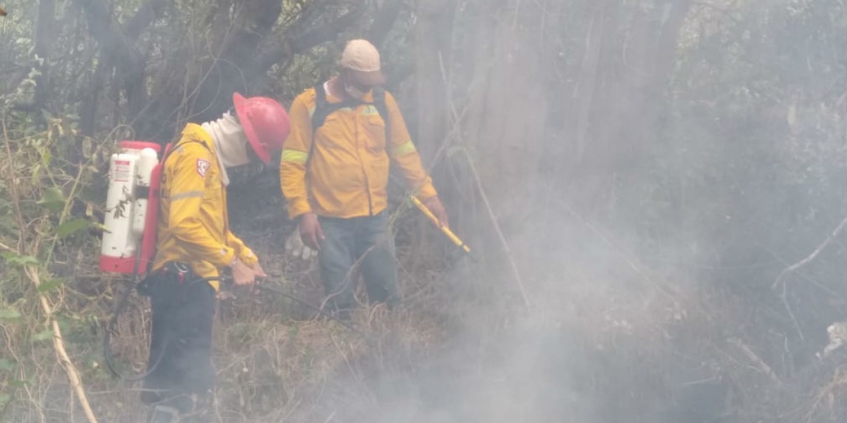 Incendio en el Vía Parque Isla de Salamanca.