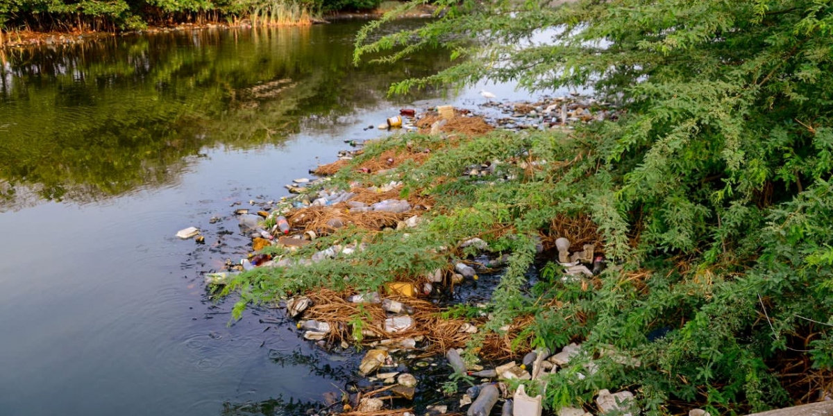 Río Manzanares.