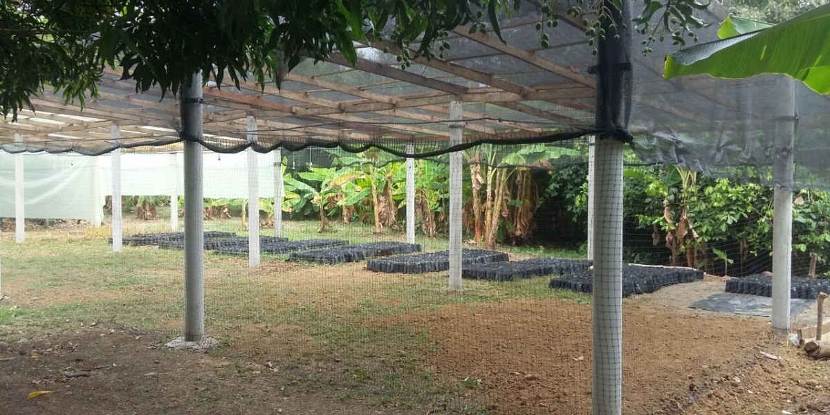 Este es un vivero ambiental que ya fue inaugurado en Montería.