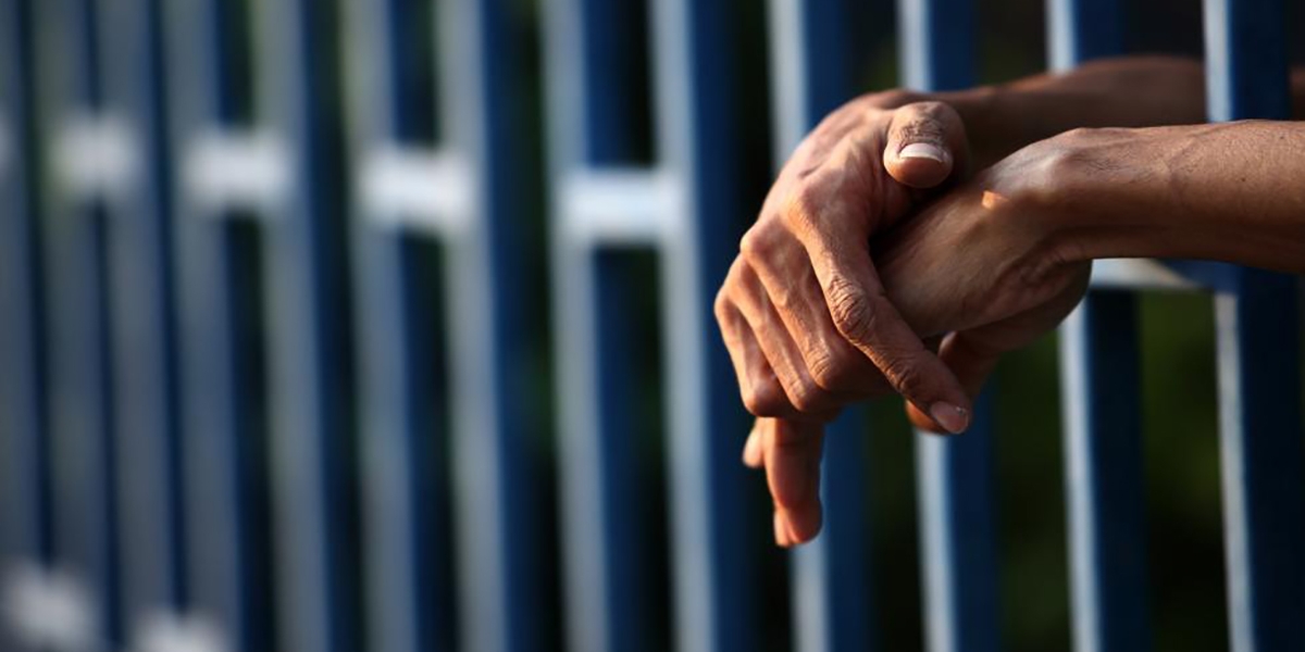 El agresor del animal fue enviado a prisión, y además deberá pagar 5 salarios mínimos legales vigentes.