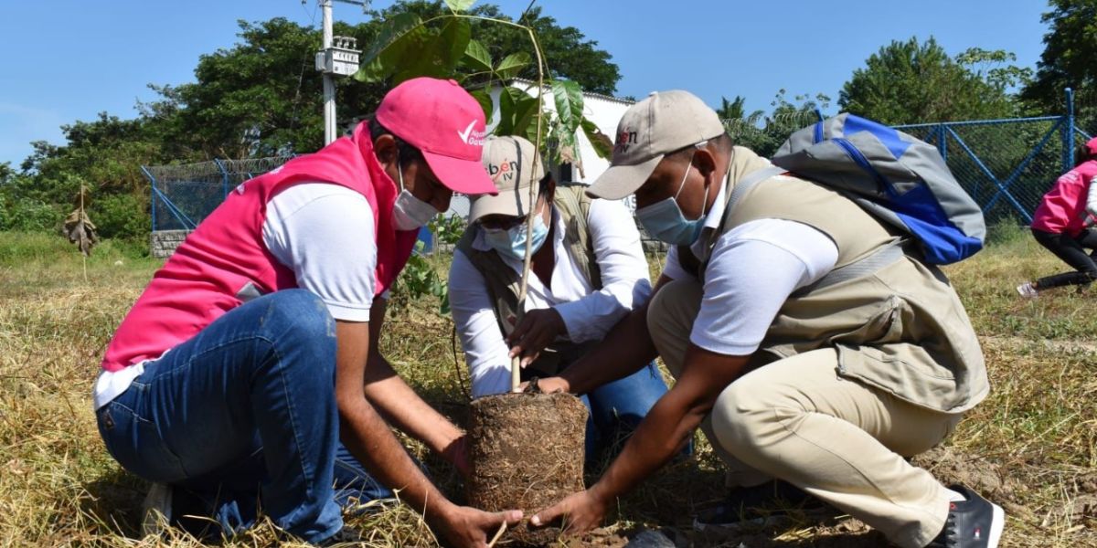 Corpamag Corpamag participa en la sembratón nacional.
