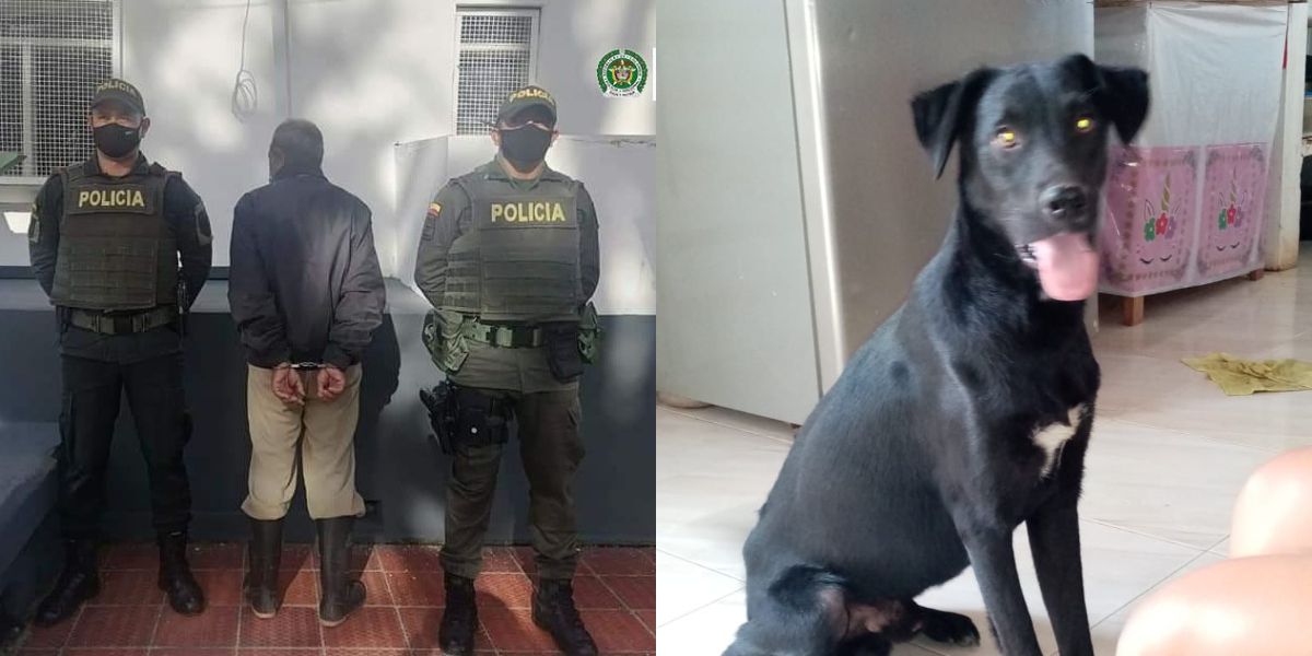 Luis Antonio Cáceres, habría agredido gravemente a su perro de nombre Negrete, hasta ocasionarle la muerte.