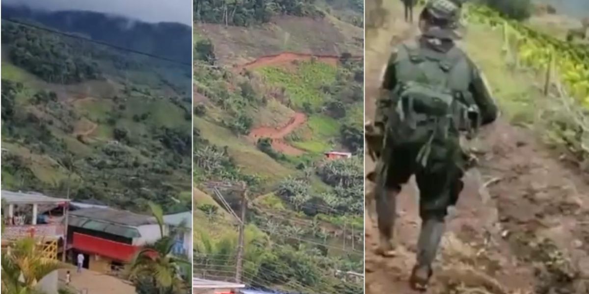 Twitter Combates en Argelia, Cauca.