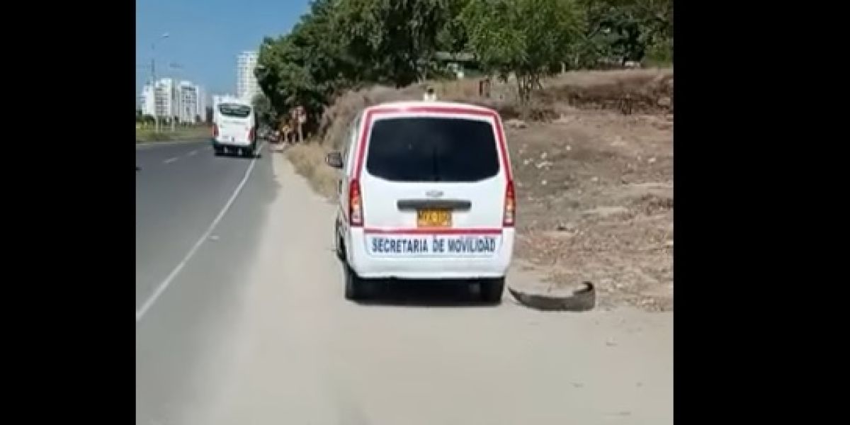 Cortesía