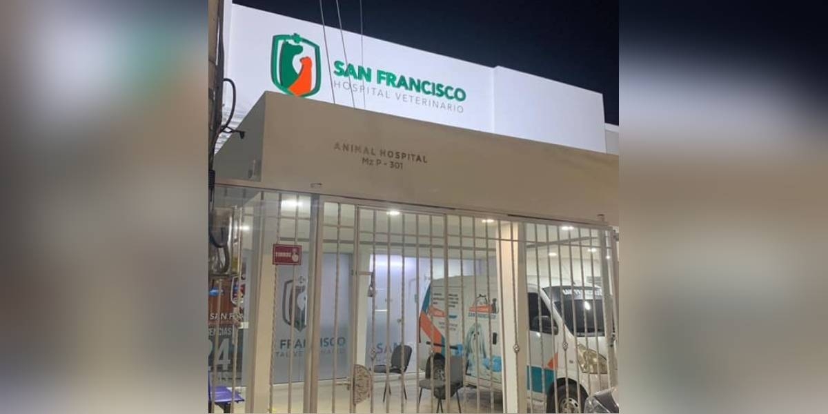Archivo Hospital Veterinario San Francisco de Asís.