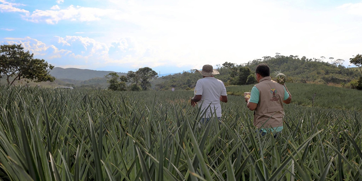 La Unidad de Restitución de Tierras busca hacer presencia en todo el territorio nacional.