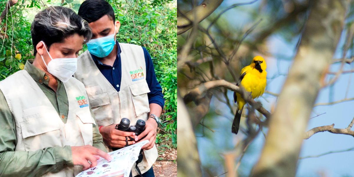 Unimagdalena: ecosistema indispensable para la diversidad de aves en la región.