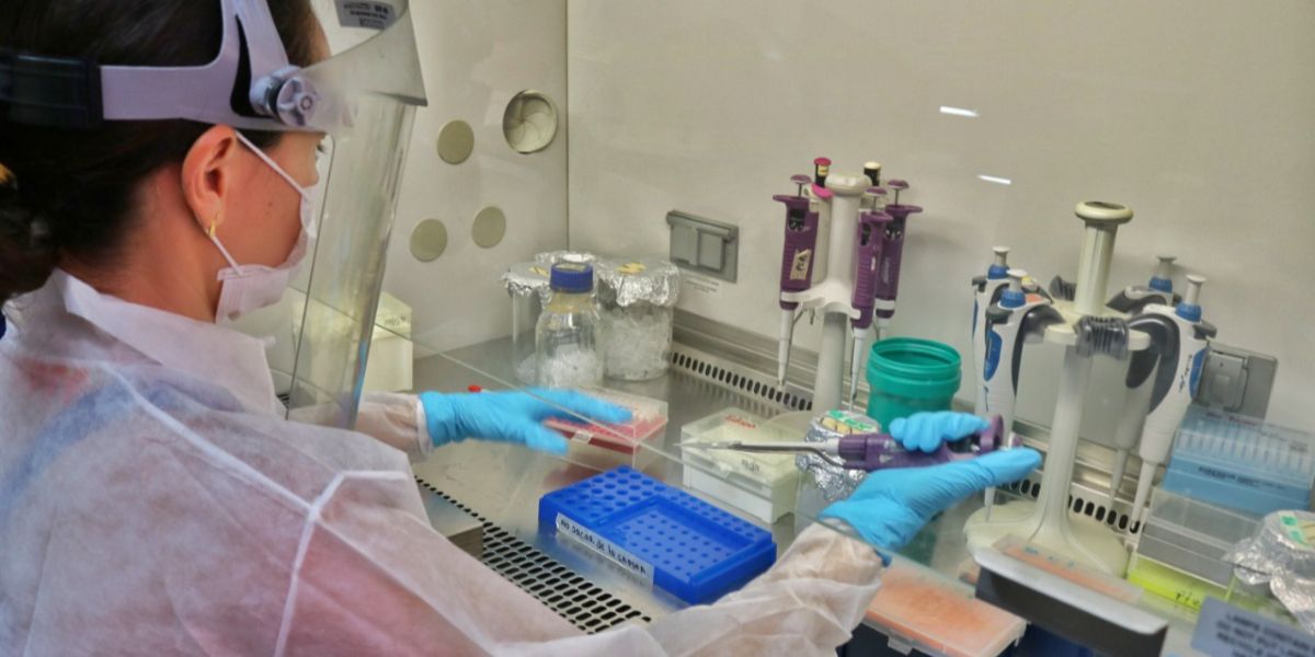 Unimagdalena Para prevenir y mitigar los efectos de la pandemia.