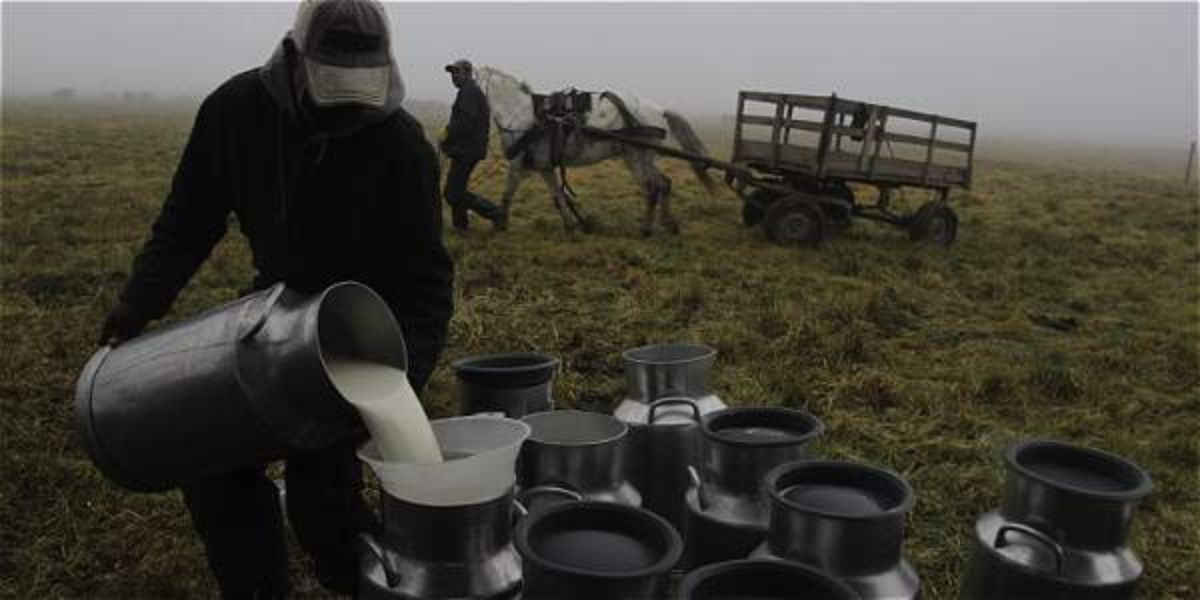 Japón aprobó los requisitos para la exportación de leche y derivados lácteos colombianos.