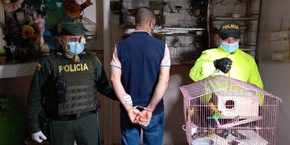 En Medellín fue capturado un hombre por presunto tráfico de fauna silvestre.