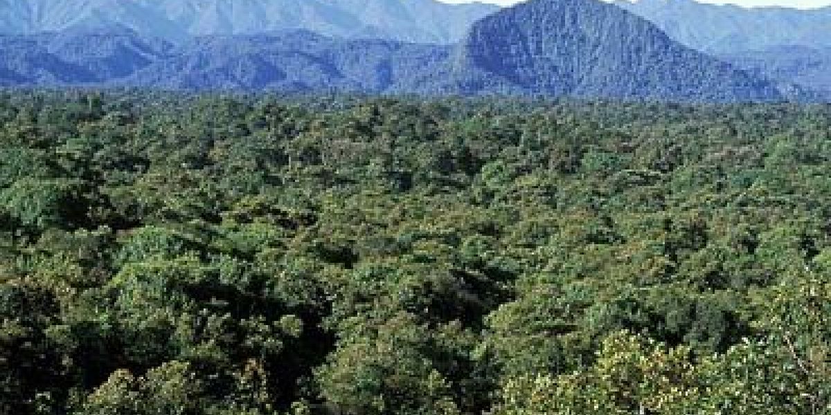 Fedepalma Por la cero deforestación, Fedepalma y la Fundación para la Conservación y el Desarrollo Sostenible firman convenio de cooperación.