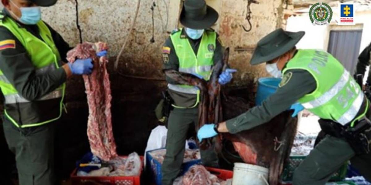 Carne de animales que era comercializada.