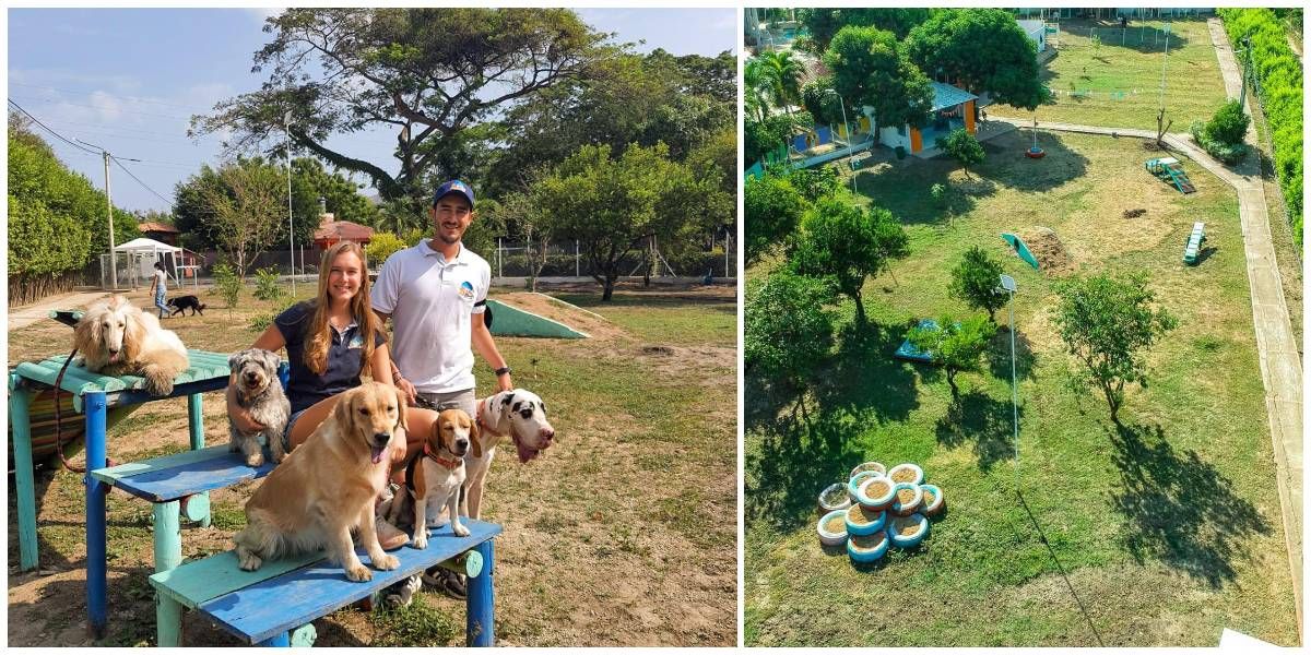 Divertidogs está ubicado en zona campestre de la ciudad de Santa Marta.