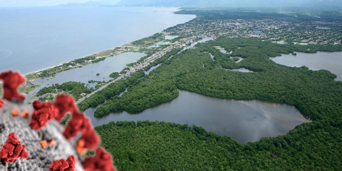 Coronavirus en el Magdalena. 