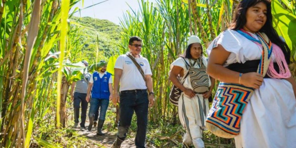 Expedición en la Sierra Nevada de Santa Marta.