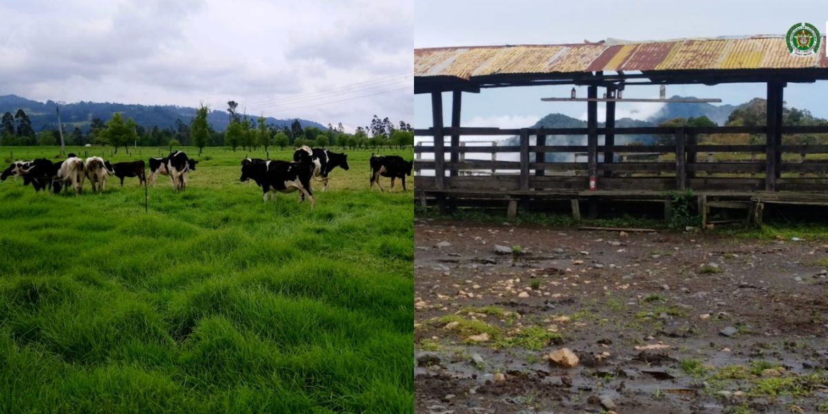 Las propiedades están ubicadas en Boyacá, Cundinamarca y Bogotá.